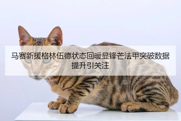 马赛新援格林伍德状态回暖显锋芒法甲突破数据提升引关注